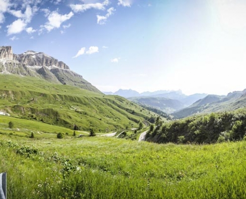 5041_20190707_092133_166665101_original-495x400